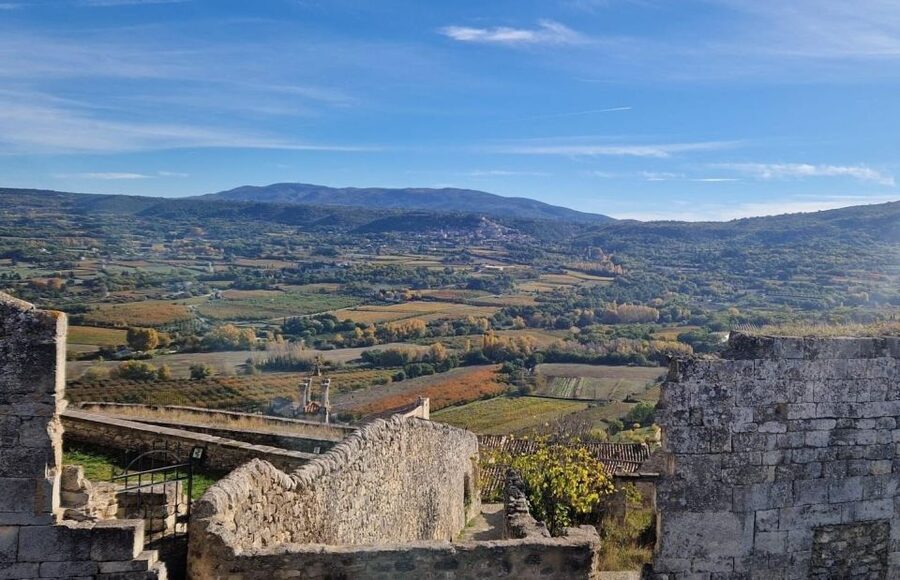 From Avignon: Full-Day E-Bike Tour in the Luberon Region - Lunch in Ménerbes, the day’s long pause