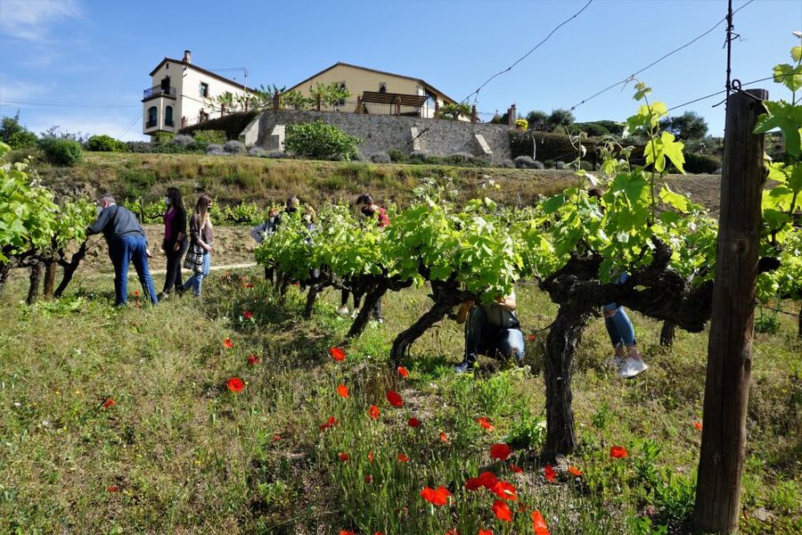 From Barcelona: E-Bike and Sailing Tour with Wine Tastings - From Barcelona streets to Alella vineyards
