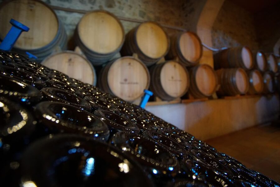 From Barcelona: E-Bike and Sailing Tour with Wine Tastings - Choosing the right transport combination