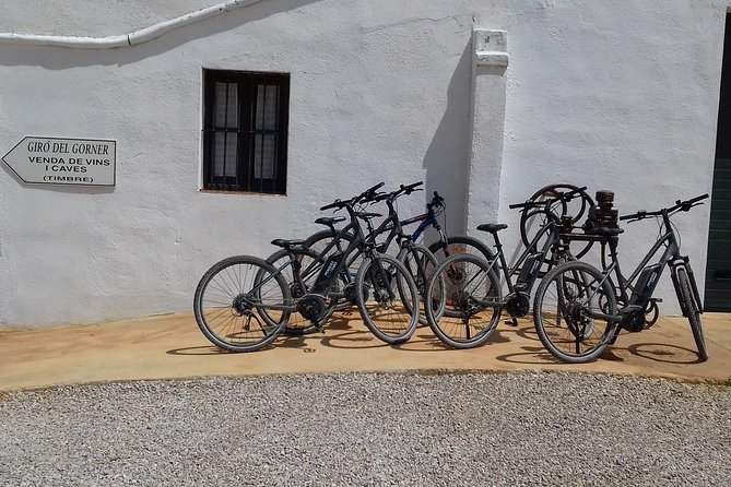 From Barcelona: E-Bike Tour in the vineyards with 2 Wineries - First tasting at Suriol del Castell de Grabuac