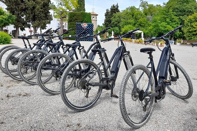 From Barcelona: E-Bike Tour in the vineyards with 2 Wineries - Is the $95.03 price good value?