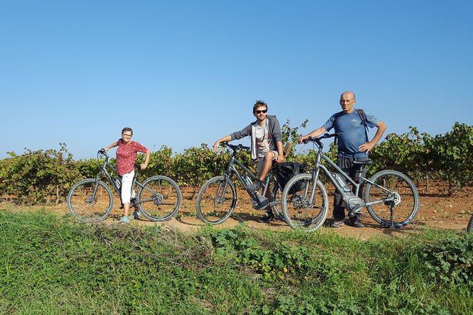 From Barcelona: E-Bike Tour in the vineyards with 2 Wineries - Who will enjoy this day most?