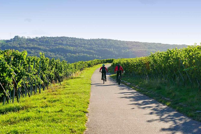 From Barcelona: E-Bike Tour in the vineyards with 2 Wineries - Picking up your Scott bike in Vilafranca