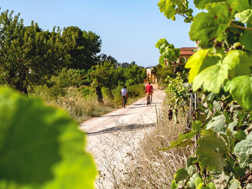From Barcelona: Penedès E-Bike Tour with 2 Winery Visits - Key points at a glance