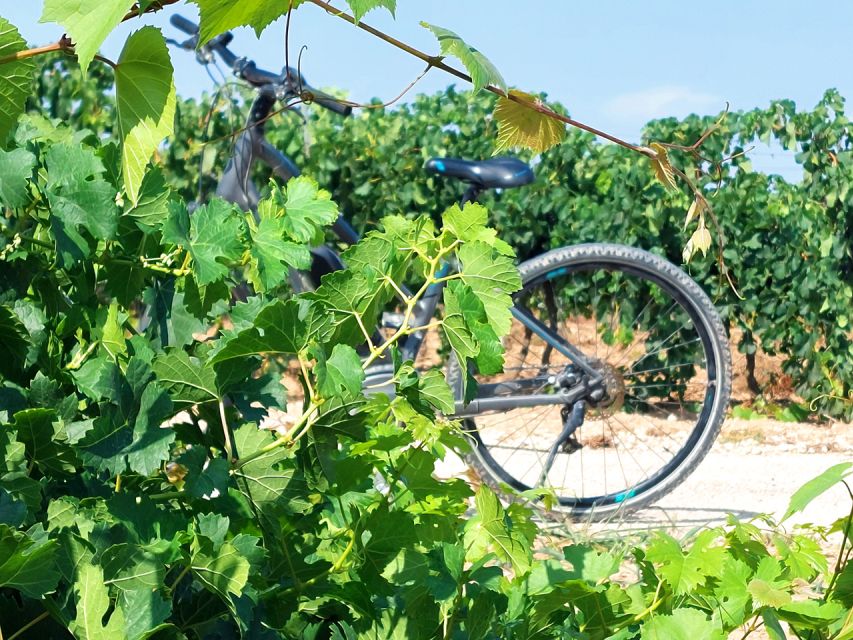 From Barcelona: Penedès E-Bike Tour with 2 Winery Visits - Why Penedès works so well by e-bike