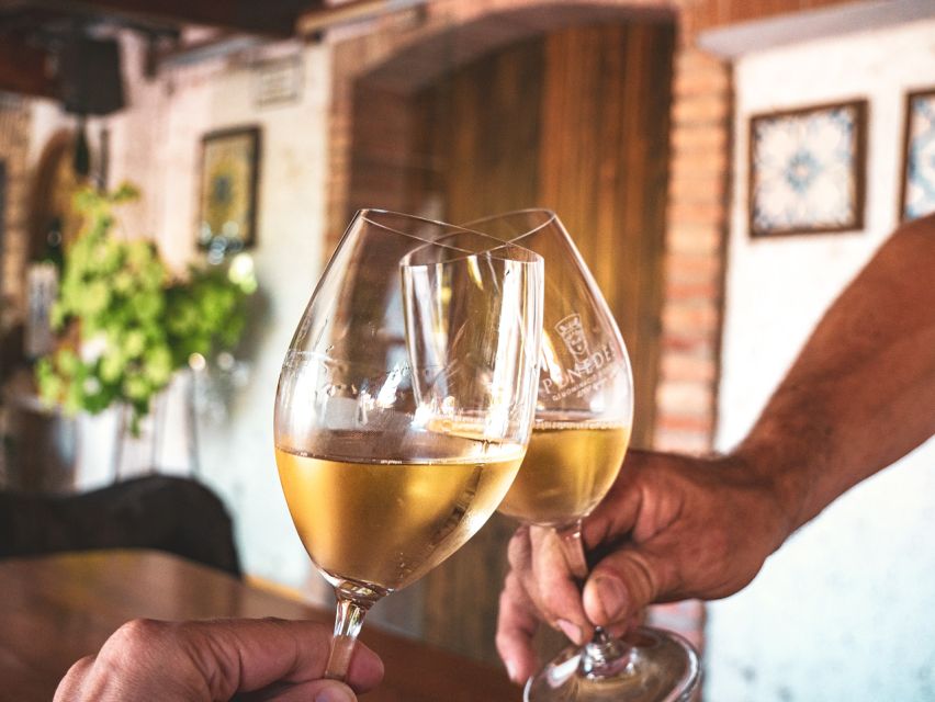 From Barcelona: Penedès E-Bike Tour with 2 Winery Visits - First tasting: natural and biodynamic wine