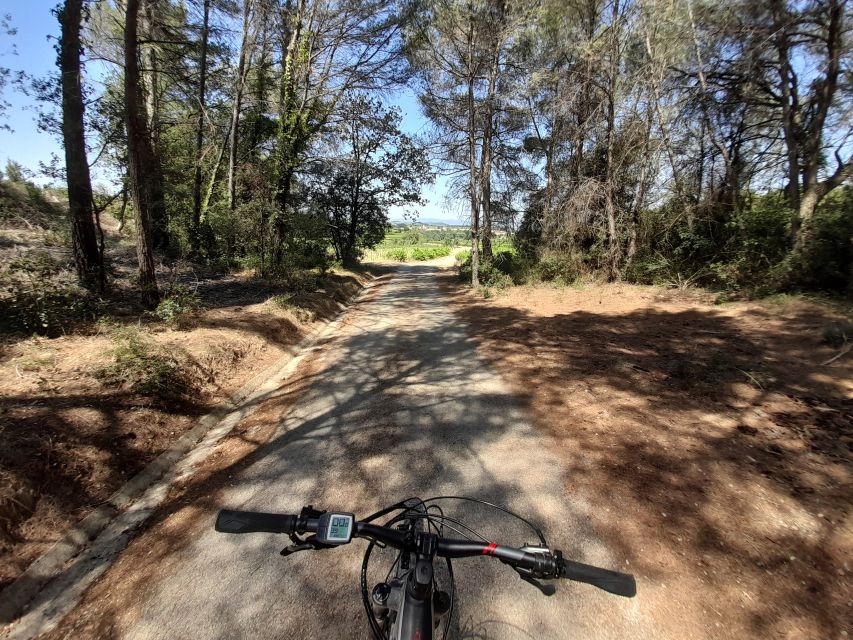 From Barcelona: Penedès E-Bike Tour with 2 Winery Visits - Is the $94 price fair?