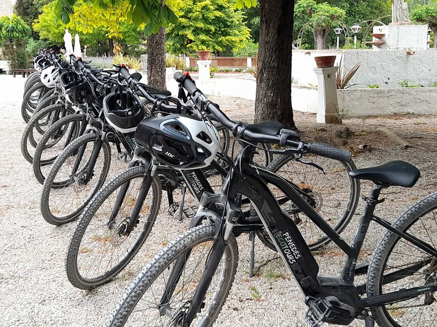 From Barcelona: Penedès E-Bike Tour with 2 Winery Visits - Who will enjoy this day most?