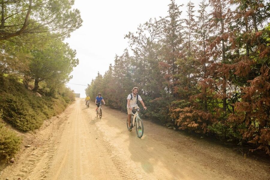 From Barcelona: Private Alella Wine Tour by Electric Bike - Practical advice for a smoother day