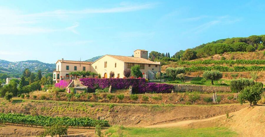 From Barcelona: Private Alella Wine Tour by Electric Bike - Alella’s small organic winery