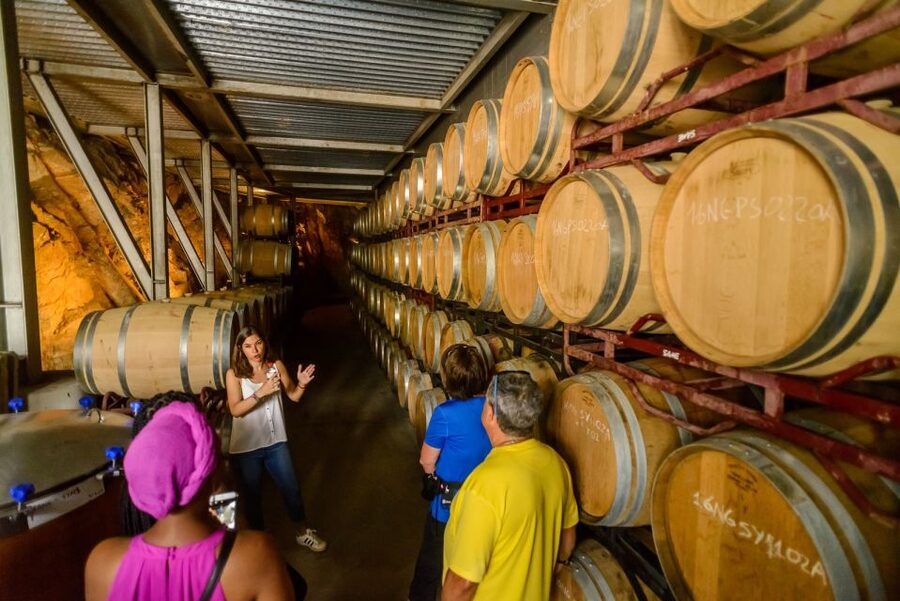 From Barcelona: Private Alella Wine Tour by Electric Bike - Four wines and a Catalan picnic