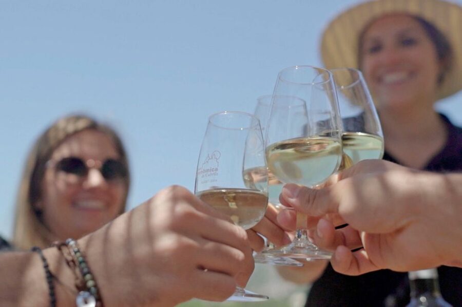 From Barcelona: Private Alella Wine Tour by Electric Bike - Private group, guide quality, and language