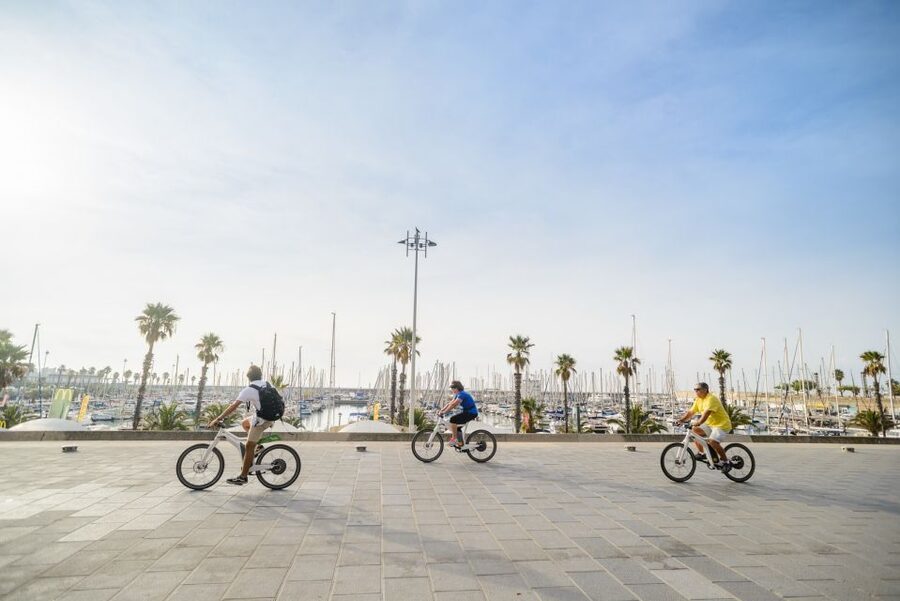 From Barcelona: Private Alella Wine Tour by Electric Bike - Price and value at $294 per person