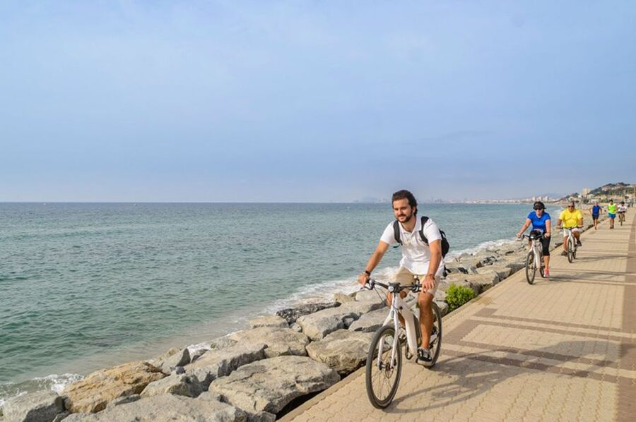 From Barcelona: Private Alella Wine Tour by Electric Bike - Who should book this Alella wine tour?