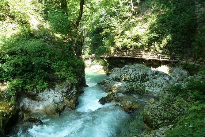 From Bled: Self-Guided E-Bike Tour to Vintgar Gorge - Who should book this tour
