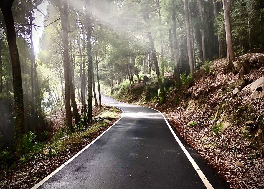 From Cascais: Sintra Guided E-Bike Tour & Guincho Beach - The descent toward Guincho Beach