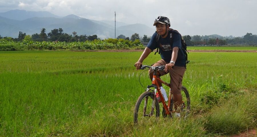 From Chiang Mai: Mae Taeng Valley and Waterfalls Cycle Tour - A generous Thai lunch in a garden setting