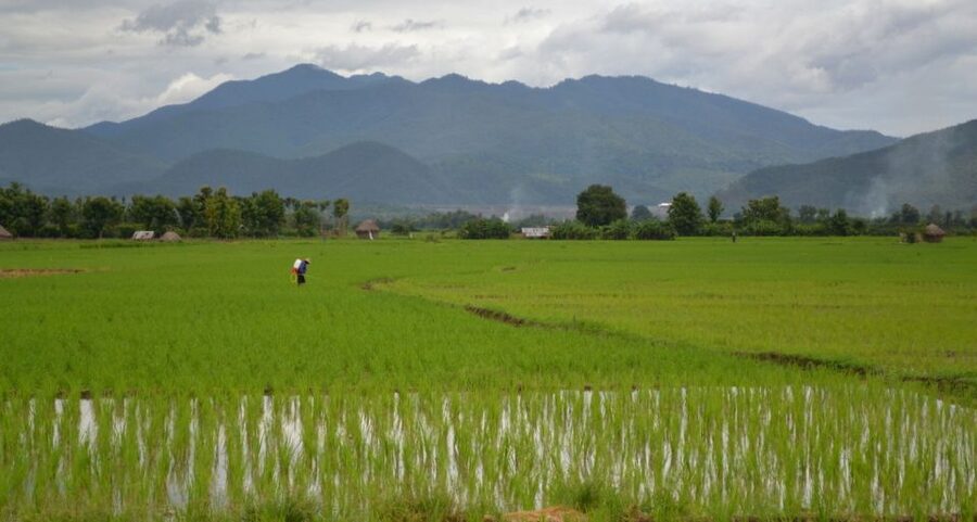 From Chiang Mai: Mae Taeng Valley and Waterfalls Cycle Tour - Practical preparation for the day
