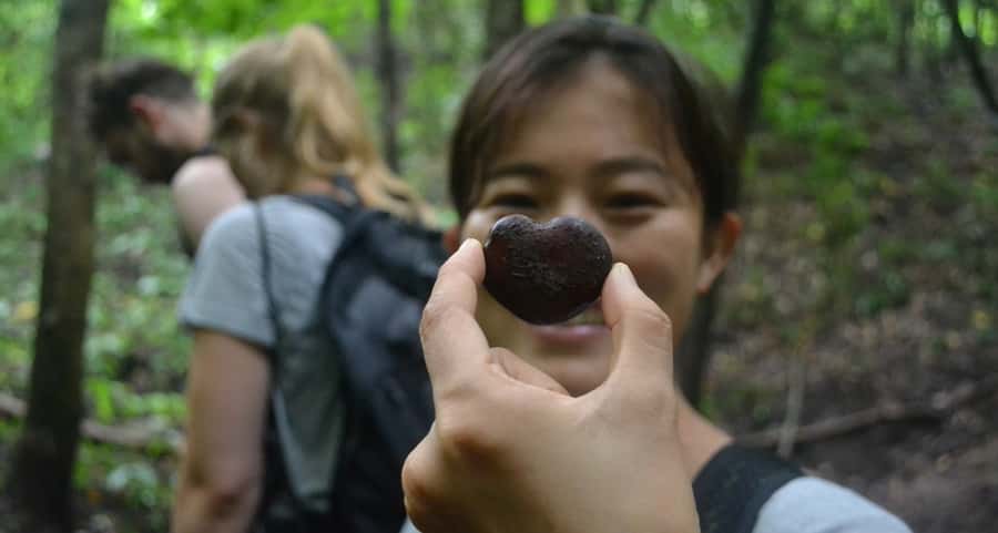From Chiang Mai: Mae Taeng Valley Hike & Bike Day Trip - Why Mae Taeng works for an active day outside Chiang Mai