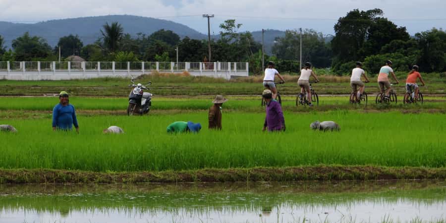 From Chiang Mai: Mae Taeng Valley Hike & Bike Day Trip - The 1.5-hour ride into Mae Taeng