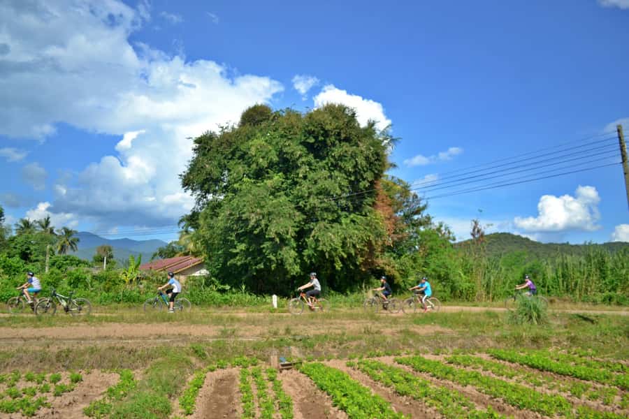 From Chiang Mai: Mae Taeng Valley Hike & Bike Day Trip - Wat Ban Den gives the day a cultural finish