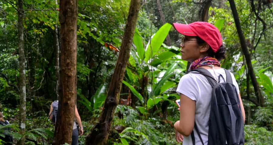 From Chiang Mai: Mae Taeng Valley Hike & Bike Day Trip - A 5-kilometer walk through orchards and village country
