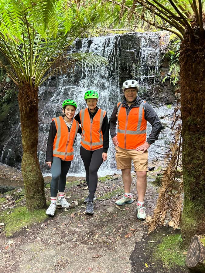 From Hobart: Mt Wellington Summit & Rainforest Bike Tour - At a glance