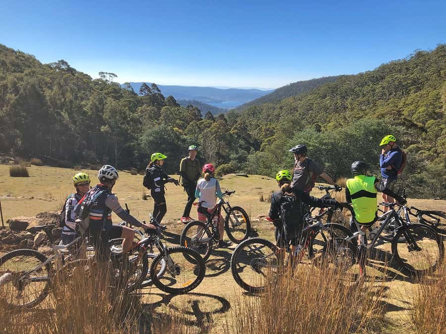 From Hobart: Mt Wellington Summit & Rainforest Bike Tour - From South Hobart to the top of kunanyi