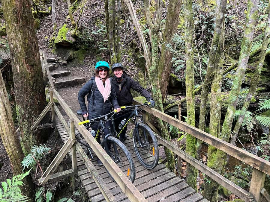 From Hobart: Mt Wellington Summit & Rainforest Bike Tour - Riding through eucalyptus and temperate rainforest