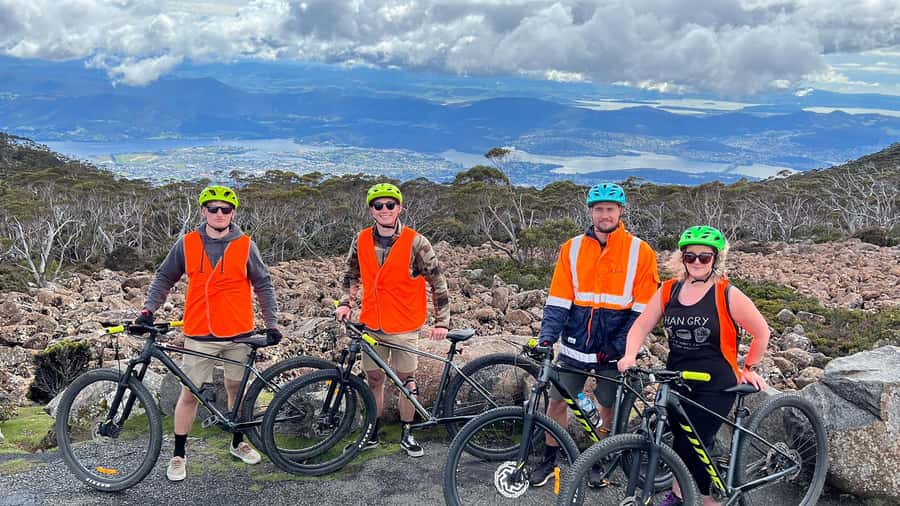 From Hobart: Mt Wellington Summit & Rainforest Bike Tour - Wildlife watching without a guarantee
