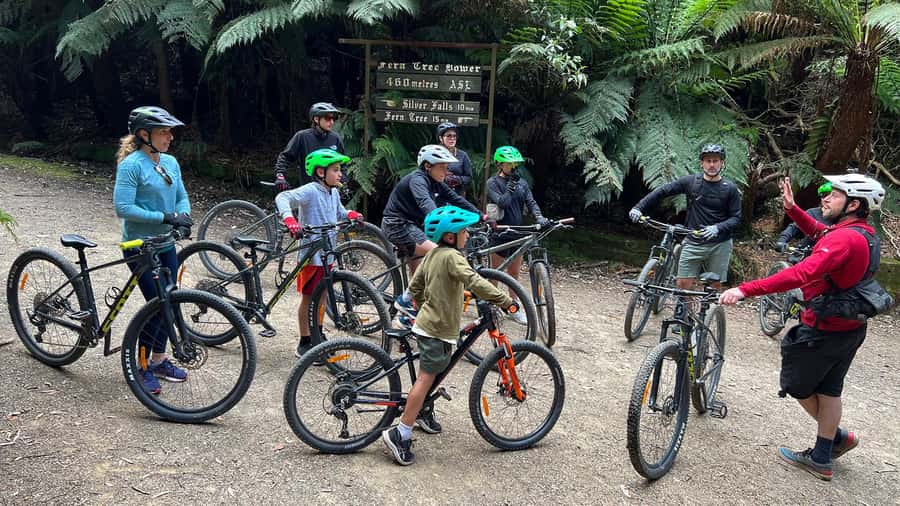 From Hobart: Mt Wellington Summit & Rainforest Bike Tour - What the $119 price really covers