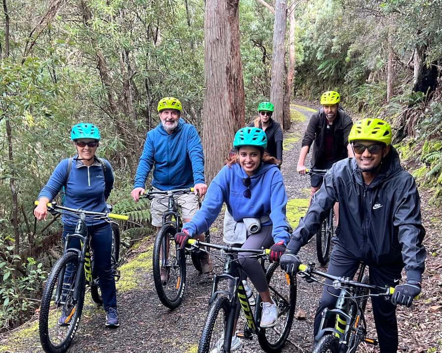 From Hobart: Mt Wellington Summit & Rainforest Bike Tour - Who will enjoy this ride most