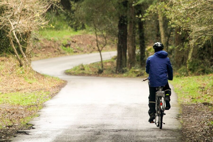 From Lisbon: Sintra to Cascais Full-Day Guided E-Bike Tour - Lunch and the climb to Peninha Sanctuary