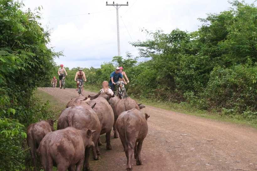 From Luang Prabang: Guided Mountain Bike Tour with Lunch - Guides make the difference