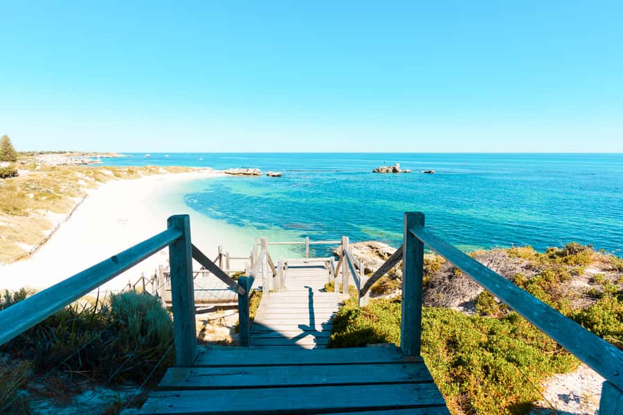 From Perth: Rottnest Island Ferry & Bike Trip - Quokkas are the island’s great bonus
