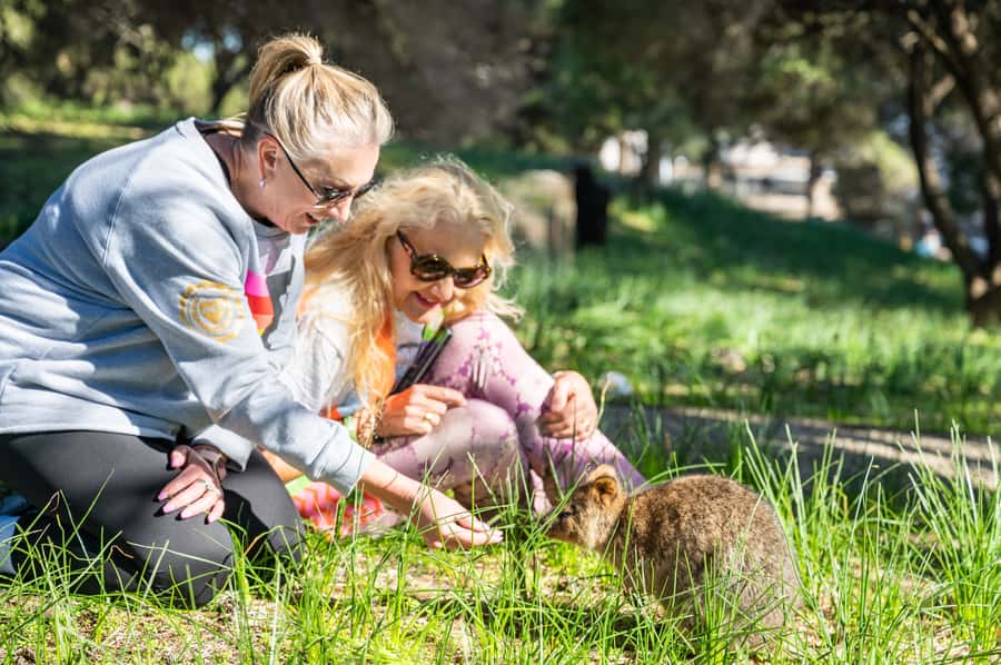 From Perth: Rottnest Island Full-Day Bike and Ferry Trip - Why a bicycle changes your Rottnest day