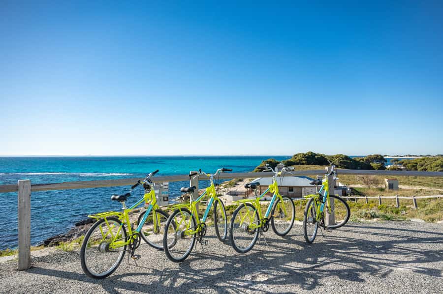 From Perth: Rottnest Island Full-Day Bike and Ferry Trip - Finding quokkas without treating them like pets