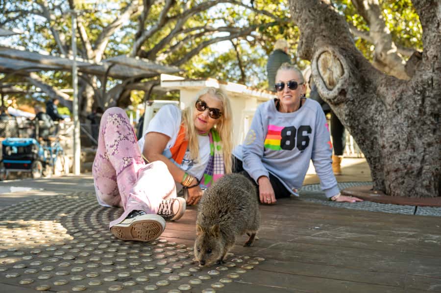 From Perth: Rottnest Island Full-Day Bike and Ferry Trip - How hard is the cycling?