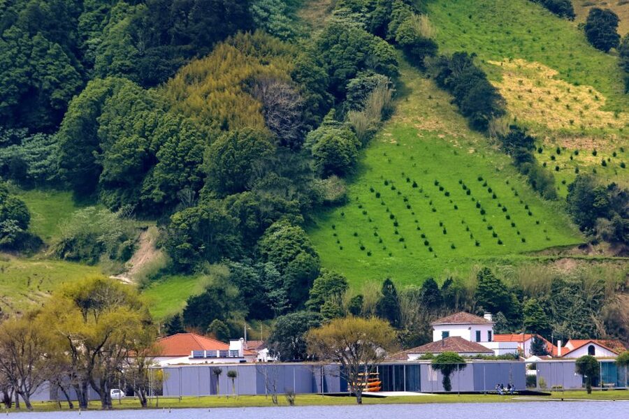 From Ponta Delgada: Sete Cidades Jeep, Bike, & Kayak Ride - Cycling beside the crater lagoon