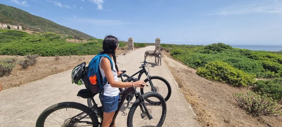 From Porto Torres: E-Bike Rental - Starting at Porto Torres and Cala Reale