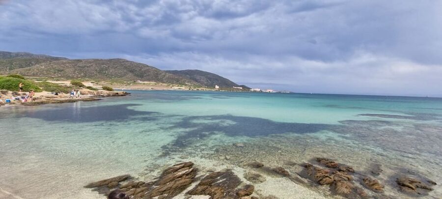 From Porto Torres: E-Bike Rental - The Best Fit for This Asinara Ride