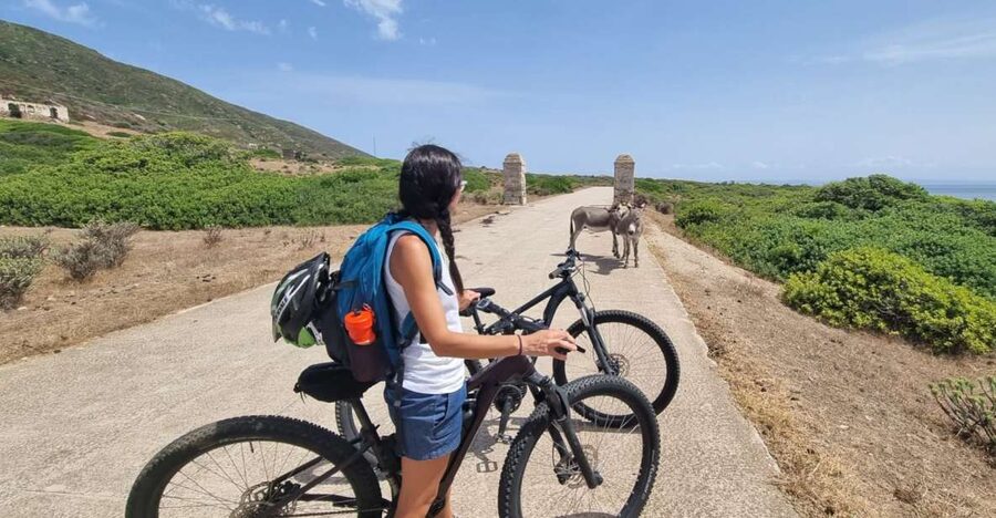 From Porto Torres: E-Bike Rental - What the Electric Bike Changes