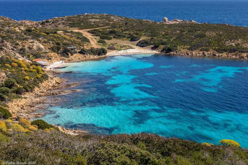 From Porto Torres: electric bicycle rental - Why Asinara Works So Well by Bicycle