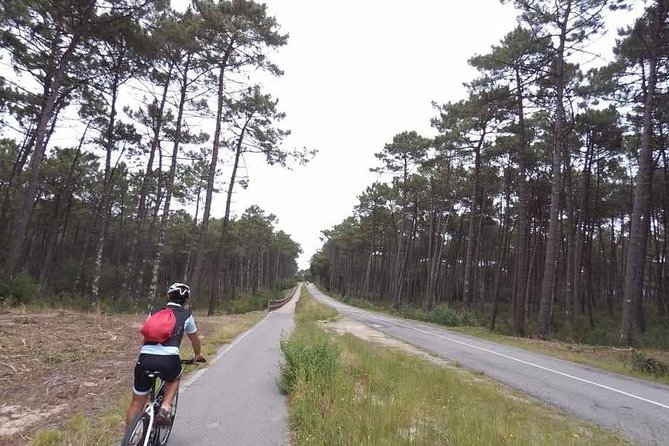 From Porto with view to Gaia: Private Bike Tour #DuckSideOfPorto - Crossing to Gaia for the best river views