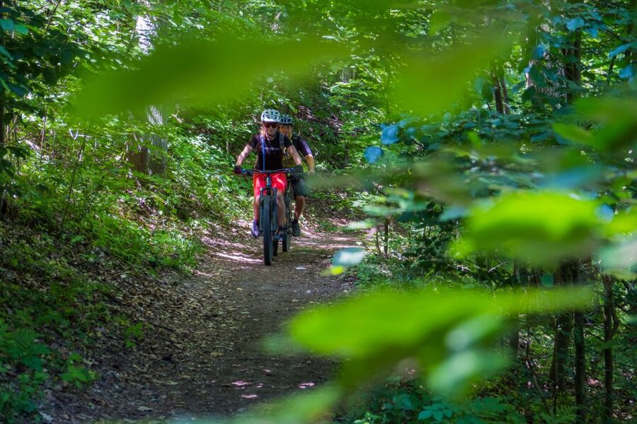 From Prague: E-Mountain Biking Trip to the Bohemian Paradise - What the E-Bike Changes