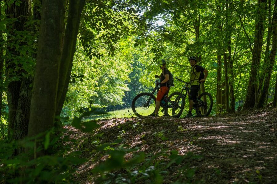 From Prague: E-Mountain Biking Trip to the Bohemian Paradise - Small-Group Guiding and Route Choices