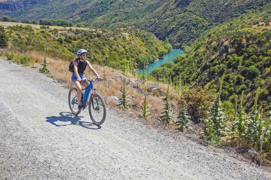 From Queenstown: 'Valley of the Vines' Wine and Bike Tour - Key points to know before you book