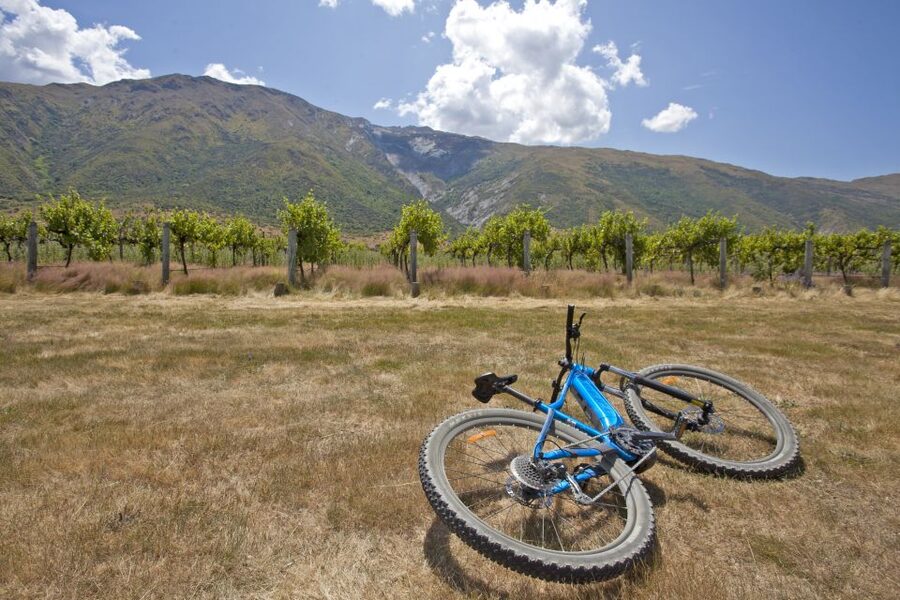 From Queenstown: 'Valley of the Vines' Wine and Bike Tour - What the $88 price really covers