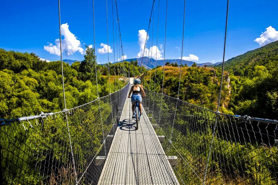 From Queenstown: 'Valley of the Vines' Wine and Bike Tour - Choosing between a Trek eBike and a pedal bike