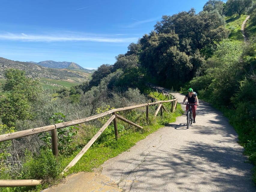 From Ronda: Via Verde de la Sierra Easy Cycling Tour - What the 3.5-hour cycling section feels like